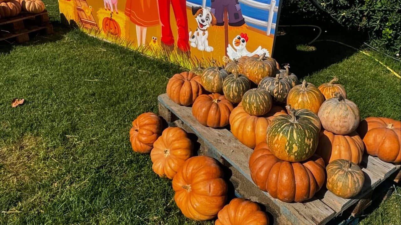 a Pontecagnano la spiaggia si vive anche d'autunno