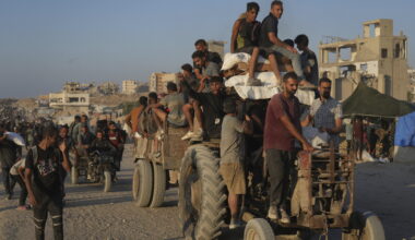 Cari Albanese & co. il dramma dei palestinesi viene dai paesi arabi – Il Tempo