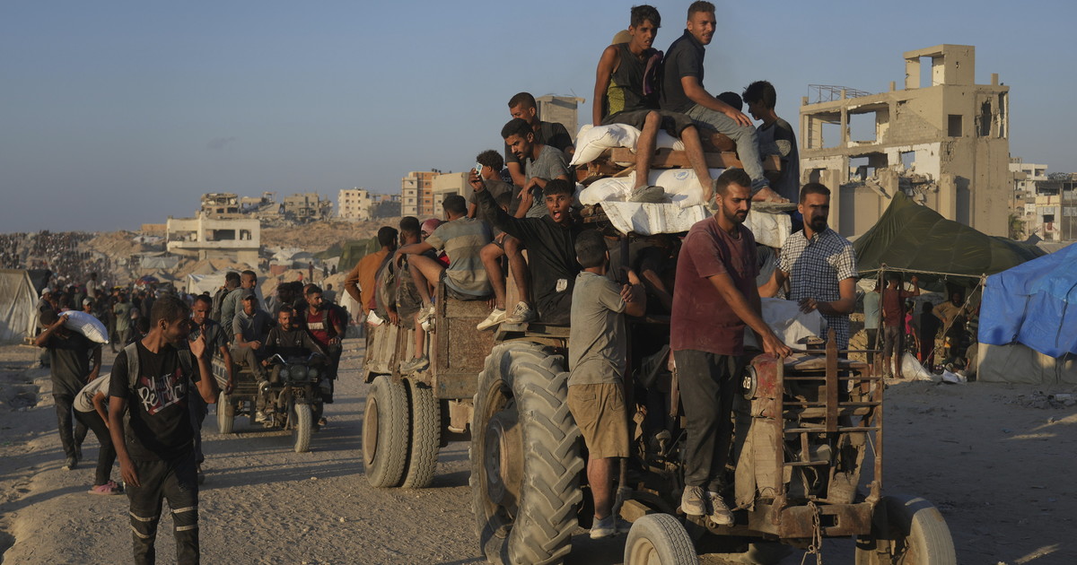 Cari Albanese & co. il dramma dei palestinesi viene dai paesi arabi – Il Tempo