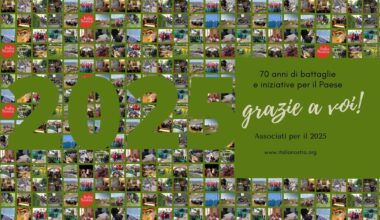 Italia Nostra fa 70 anni, impegno e coscienza collettiva - Arte