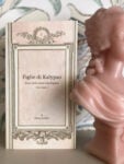 1 2 Intervista a Ilaria Gobbi sul suo libro che fa luce sulle artiste marchigiane 