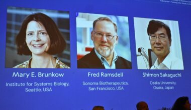 Nobel per la Medicina 2025 a Brunkow, Ramsdell e Sakaguchi