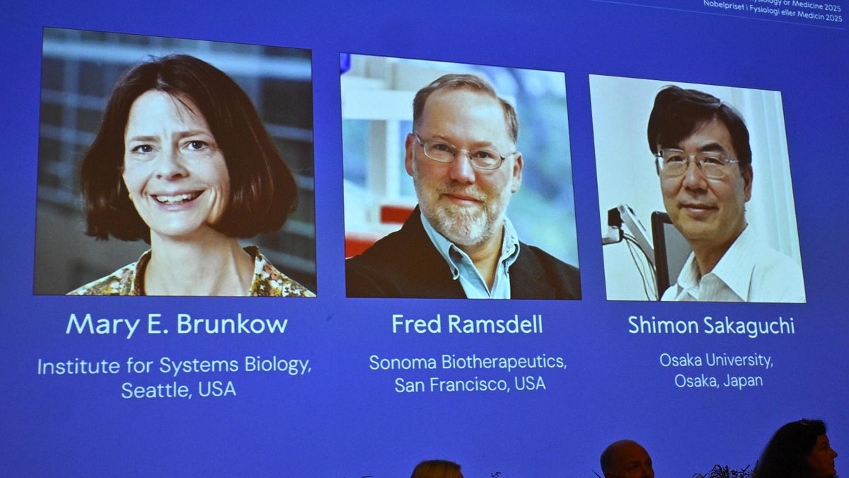 Nobel per la Medicina 2025 a Brunkow, Ramsdell e Sakaguchi