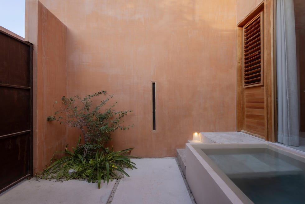 casa de yucatan recibe con jardin, dos alturas y dos piscinas, una en un patio y otra en la azotea