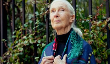 È morta l'attivista e scienziata Jane Goodall