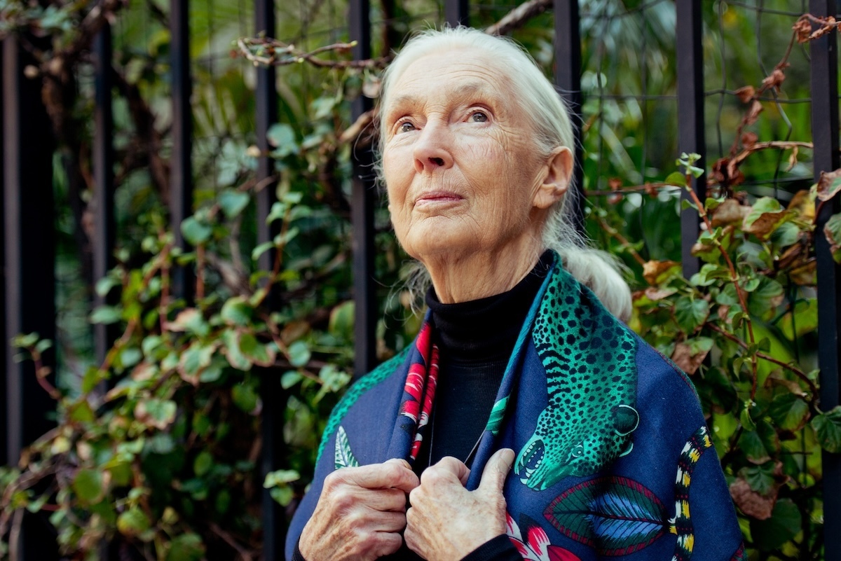 È morta l'attivista e scienziata Jane Goodall