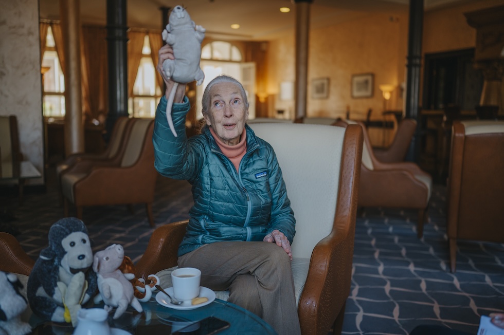 Jane Goodall nel 2020, a Magdeburgo