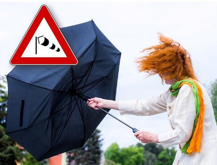 venti burrascosi fino a 90 km/h, ecco le zone colpite
