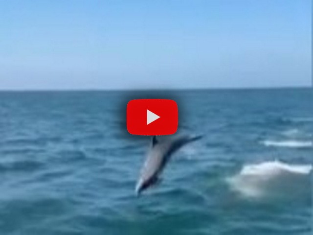 paura per i passeggeri, il Video Corriere