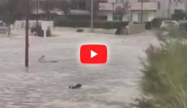 mareggiata eccezionale sulla costa adriatica, il Video