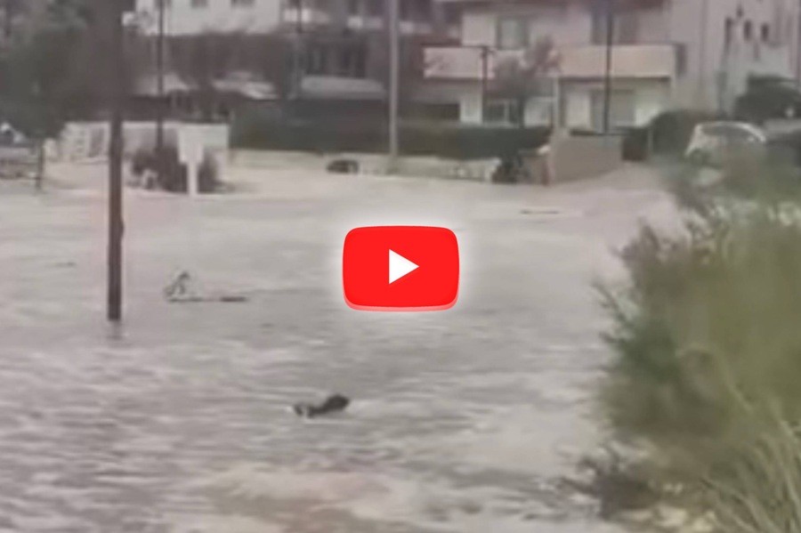 mareggiata eccezionale sulla costa adriatica, il Video