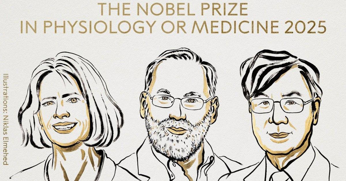 Il Nobel per la medicina agli americani Mary E. Brunkow, Fred Ramsdell e al giapponese Sakaguchi