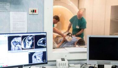 Seno, scoperta 'firma pretumorale' in donne portatrici mutazioni - Salute e Benessere