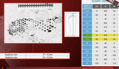 Garlasco, la nuova ricostruzione scagionerebbe Stasi. "Ecco perché l'impronta può essere numero 44"