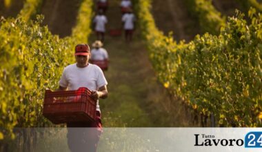 Agricoli, slitta di 3 Mesi l’Età Pensionabile dal 2027. Unica Eccezione? Precoci o Usuranti