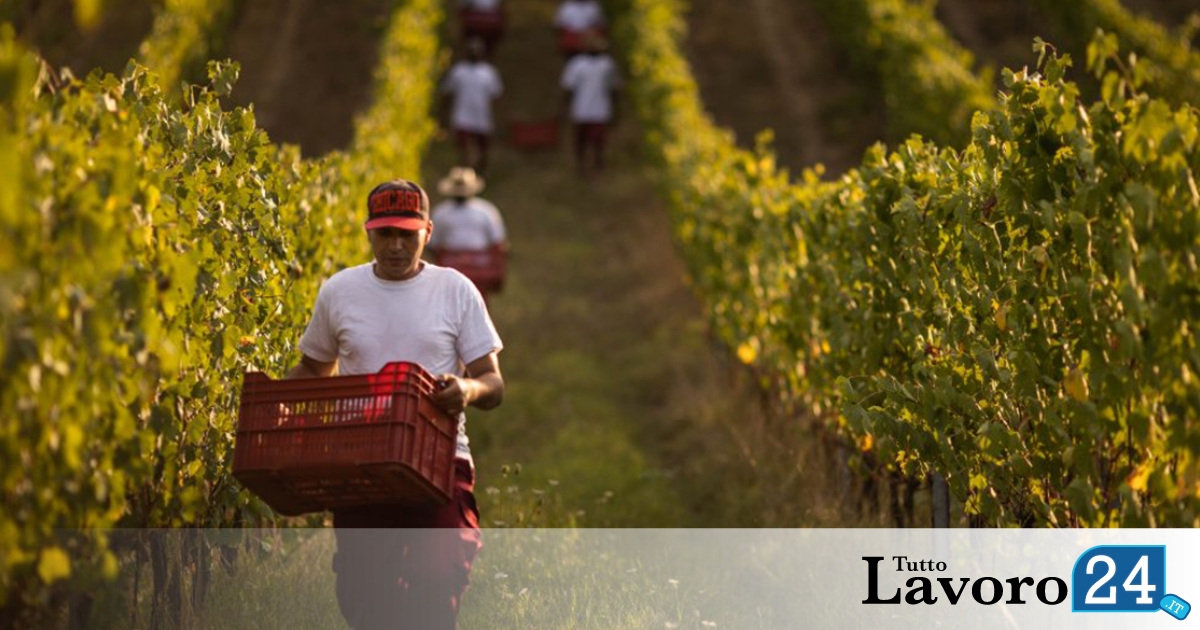Agricoli, slitta di 3 Mesi l’Età Pensionabile dal 2027. Unica Eccezione? Precoci o Usuranti