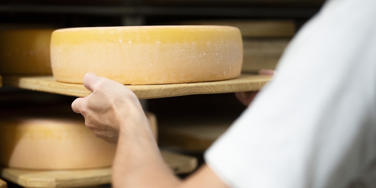 Come se la sta cavando il paese europeo più colpito dai dazi di Trump