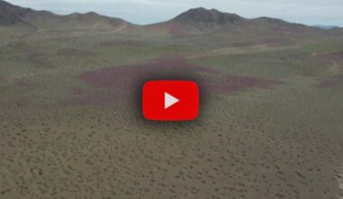 il miracolo dell'Atacama nel Video