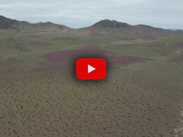 il miracolo dell'Atacama nel Video