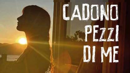 La copertina del libro