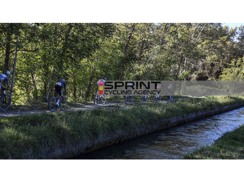 LA CORTE FEDERALE D’APPELLO RESTITUISCE A GAMBACCIANI LA CORRETTEZZA DEL SUO AGIRE