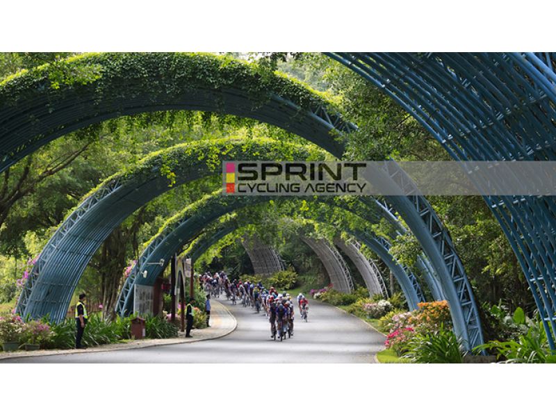 UCI. 56 SQUADRE FEMMINILI E MASCHILI HANNO RICHIESTO UNA LICENZA, IL 10 DICEMBRE L'ANNUNCIO UFFICIALE