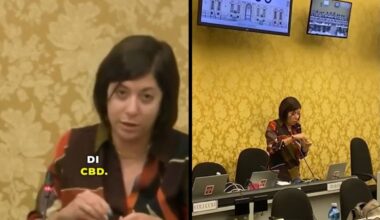 La grillina "rolla una canna" in Consiglio regionale: bufera in Piemonte