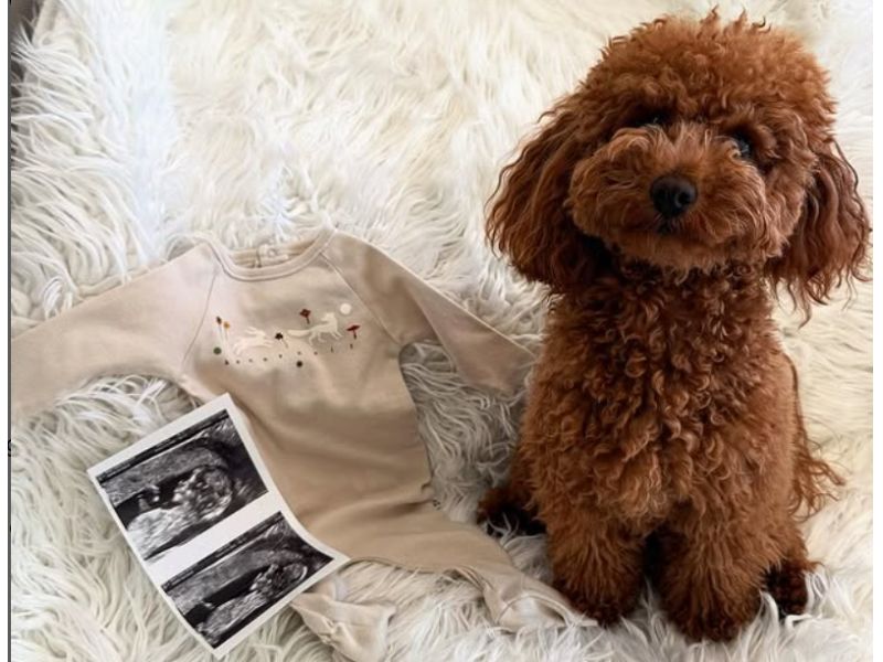 DOLCE ANNUNCIO IN CASA BAGIOLI: ANDREA SARÀ PRESTO PAPÀ