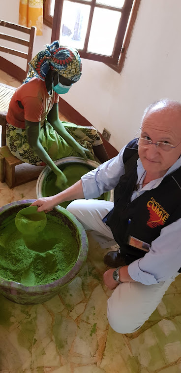 fotografia della moringa
