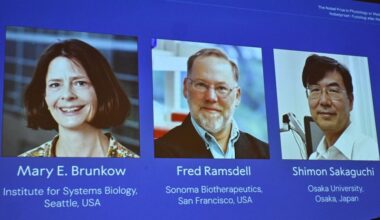 Nobel per la medicina a Brunkow, Ramsdell e Sakaguchi per gli studi sul sistema immunitario