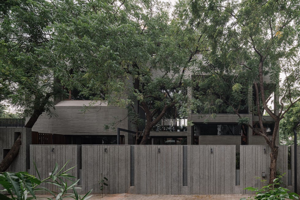modern residence partially obscured by trees and surrounded by a concrete wall