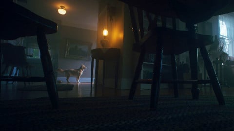 una storia di fantasmi e d'amore, con un protagonista incredibile
