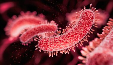 cosa fare per diminuire il rischio di contagio