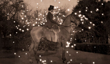 Cercare la luce - Daria Scolamacchia (Foto)