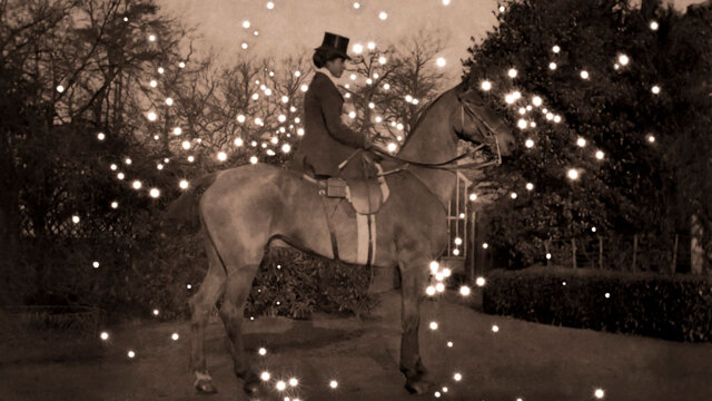 Cercare la luce - Daria Scolamacchia (Foto)