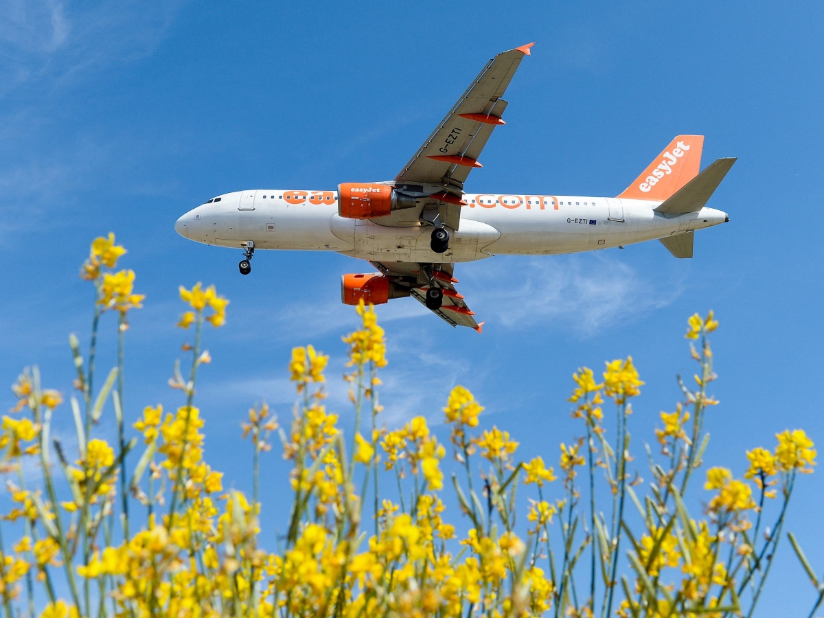 Aerei, grandi manovre su easyJet: il dossier della low cost finisce sul tavolo di Msc