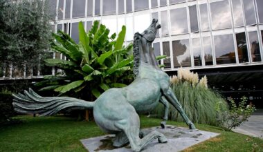 Problemi di trasmissione, la Rai: «Tecnici al lavoro. Garantite la Messa e la Marcia della pace»