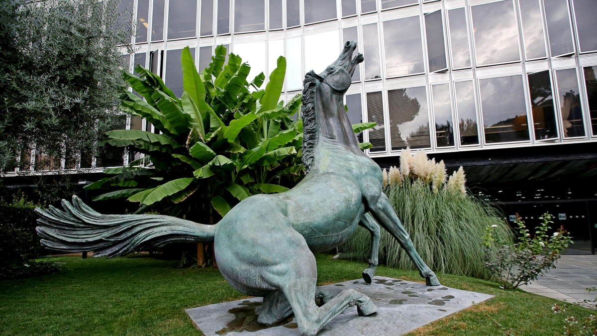 Problemi di trasmissione, la Rai: «Tecnici al lavoro. Garantite la Messa e la Marcia della pace»