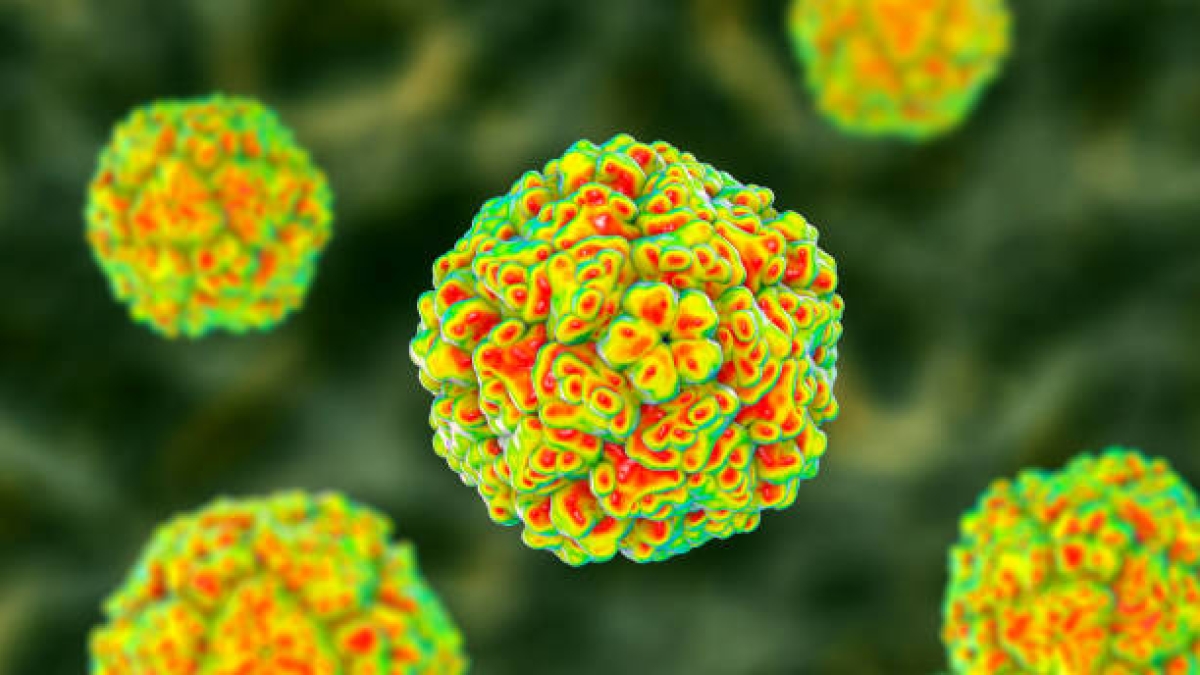 Cosa sono i virus oncolitici, i potenziali alleati nella lotta contro il tumore