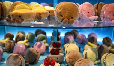 Jellycat, il boom dei peluche virali su TikTok (che costano fino a 1.200 sterline): Smudge Bear e gli altri, ecco chi sono