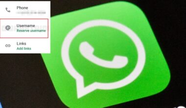 Su WhatsApp sono in arrivo i nickname: non servirà più il numero di telefono per chattare