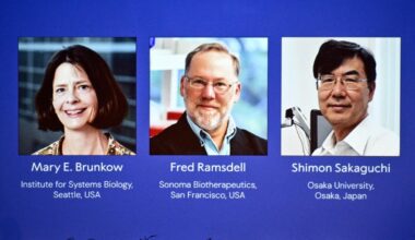 Brunkow, Ramsdell e Sakaguchi vincono il premio Nobel per la Medicina grazie alla scoperta delle «cellule T regolatorie»