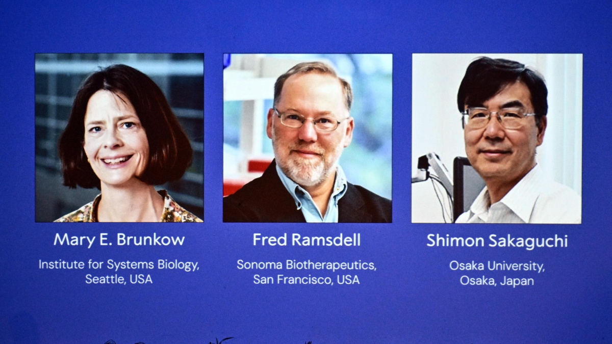 Brunkow, Ramsdell e Sakaguchi vincono il premio Nobel per la Medicina grazie alla scoperta delle «cellule T regolatorie»