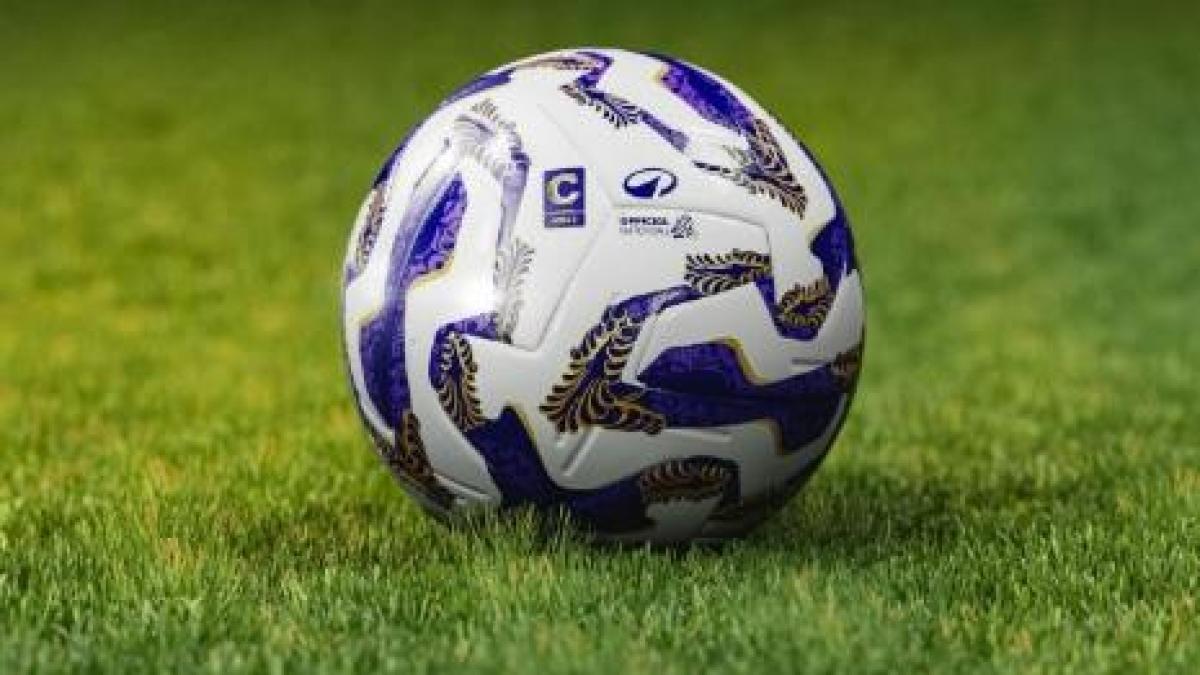 Serie C, Rimini ancora penalizzato. Ternana deferita