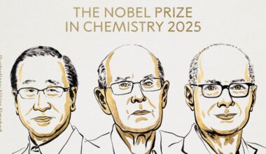 Il Nobel 2025 per la Chimica va a Kitagawa, Robson e Yaghi «per lo sviluppo di strutture metallo-organiche»