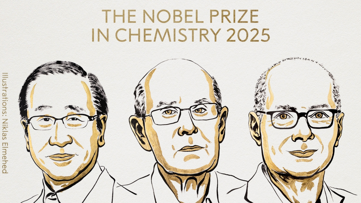 Il Nobel 2025 per la Chimica va a Kitagawa, Robson e Yaghi «per lo sviluppo di strutture metallo-organiche»