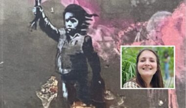 Banksy, le opere analizzate dalla studiosa trevigiana Alessandra Orefice: «Sbagliato staccare Migrant child»