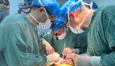 Xenotrapianto di fegato di maiale ingegnerizzato su paziente vivo, in Cina. Sopravvissuto per 171 giorni, è il primo al mondo