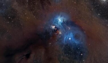 Lo scatto di un grosso babbuino nello spazio: non si tratta di una scimmia aliena, ma di una nebulosa a forma di mandrillo