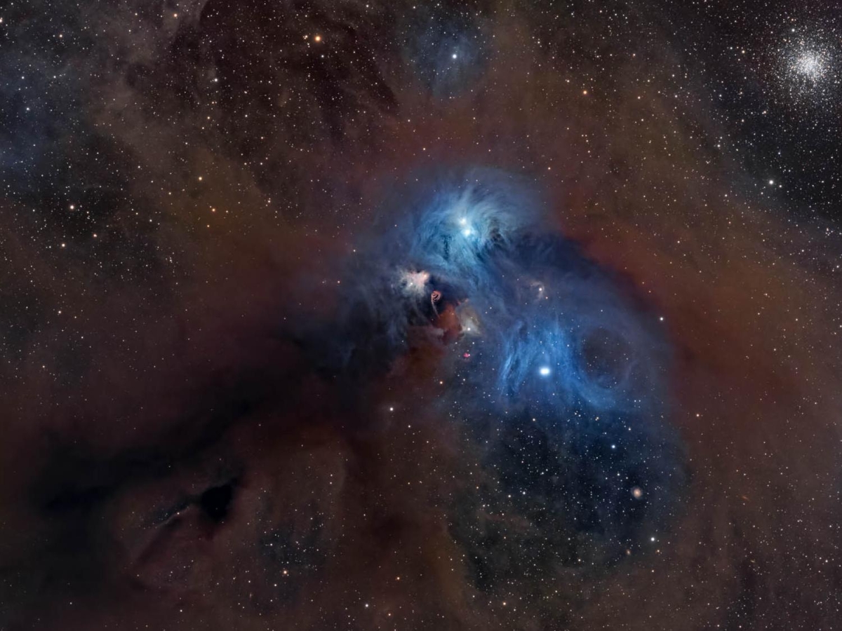 Lo scatto di un grosso babbuino nello spazio: non si tratta di una scimmia aliena, ma di una nebulosa a forma di mandrillo